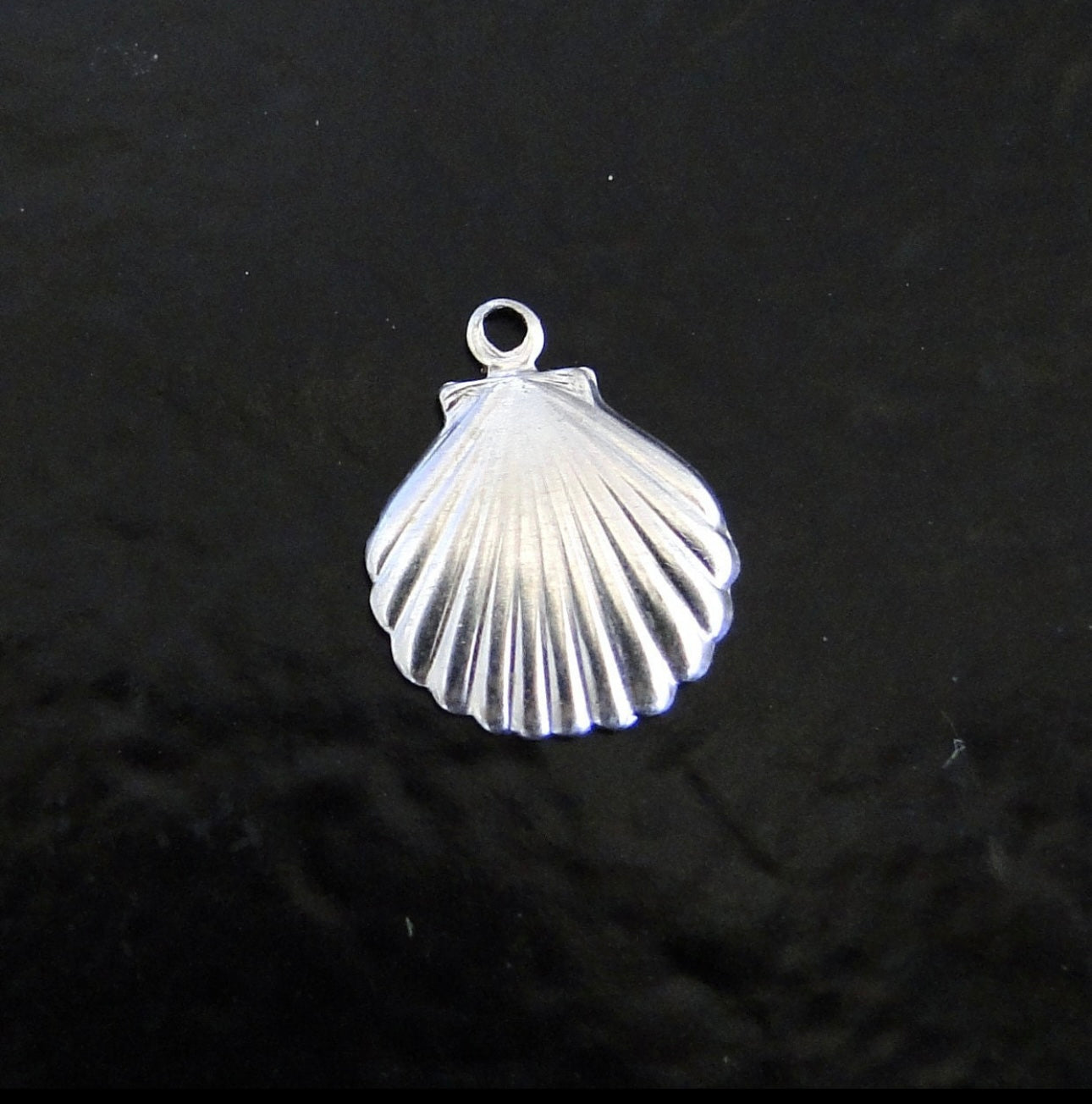 The Shell Charm